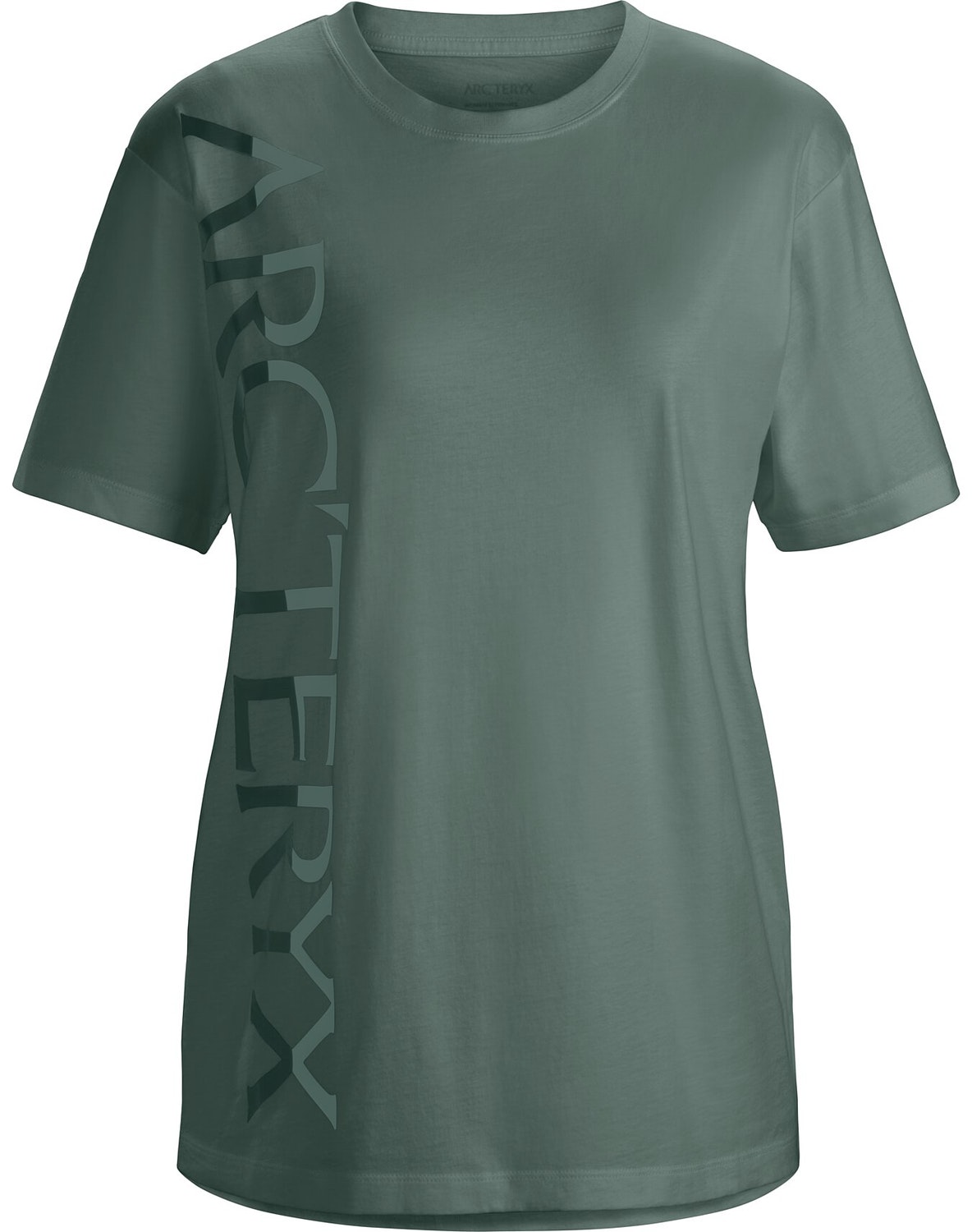 T-shirt Arc'teryx Downword Fade Donna Verdi Chiaro - IT-1457193